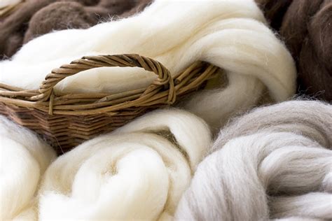 ¡Wool: Una Fibra Natural Revolucionando la Ingeniería de Materiales!