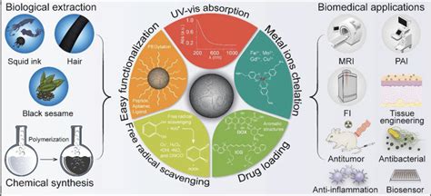 ¿Fluoroapatita: El material del futuro para aplicaciones biomédicas avanzadas?