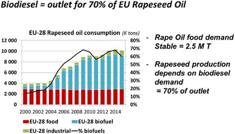 ¡Rapeseed Oil: Un Tesoro Dorado para la Industria Alimentaria y la Producción de Biodiesel!