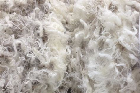  ¡Wool: Explorando las Propiedades Inigualables de esta Fibra Natural para la Industria Textil!